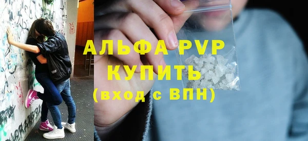 твердый Михайлов