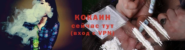 твердый Михайлов