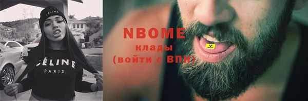 твердый Михайлов