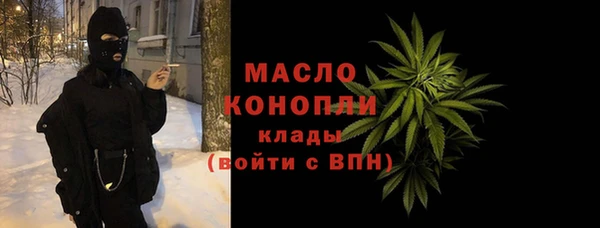 твердый Михайлов