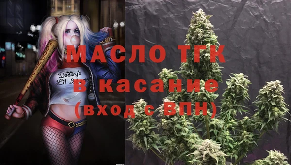 твердый Михайлов
