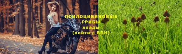 твердый Михайлов