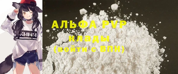 твердый Михайлов