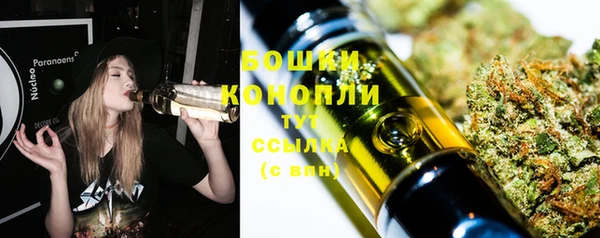 твердый Михайлов