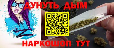 сатива Краснознаменск