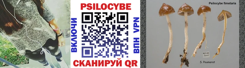 цены наркотик Сухой Лог Галлюциногенные грибы Cubensis