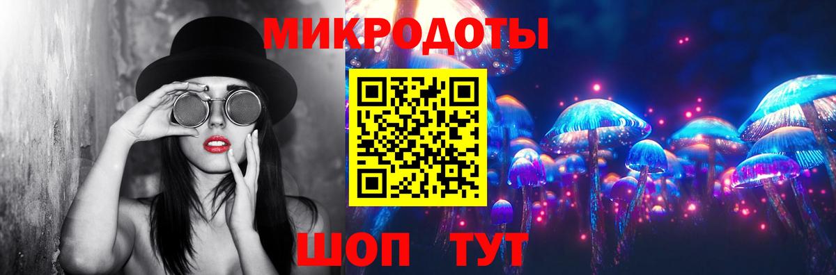 Псилоцибиновые грибы Psilocybe Сухой Лог